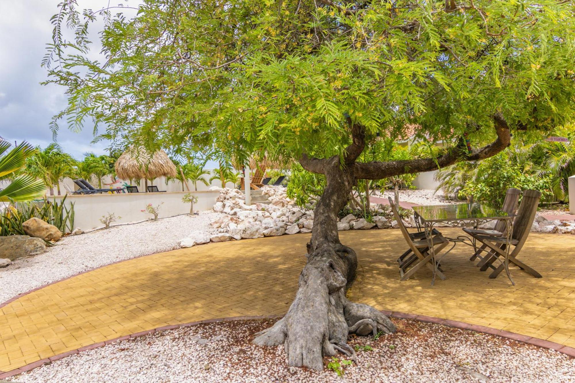 Abc Lodges Curacao Willemstad Dış mekan fotoğraf