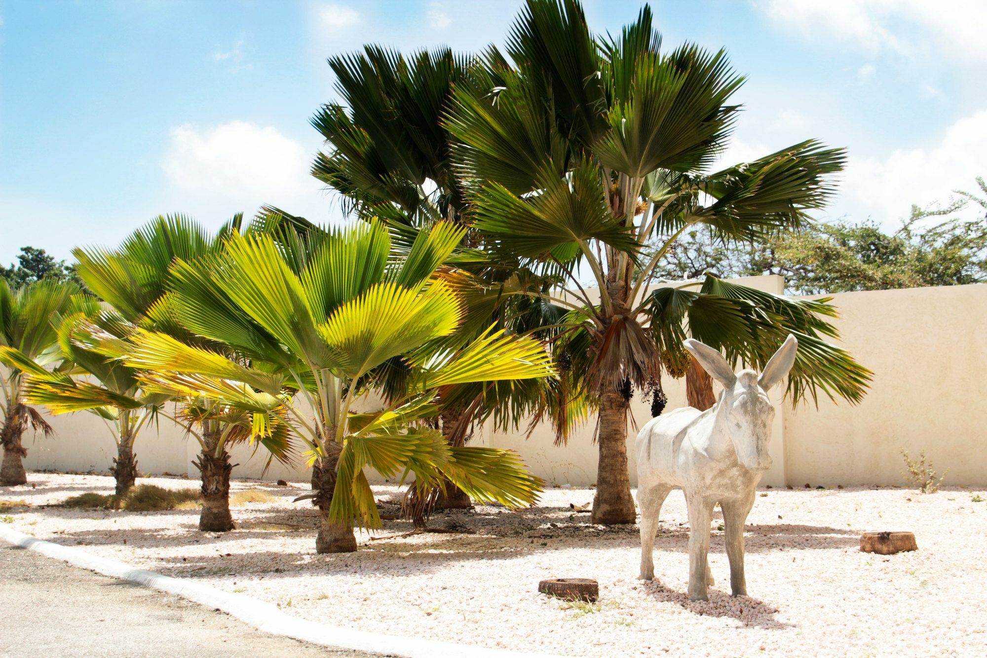 Abc Lodges Curacao Willemstad Dış mekan fotoğraf